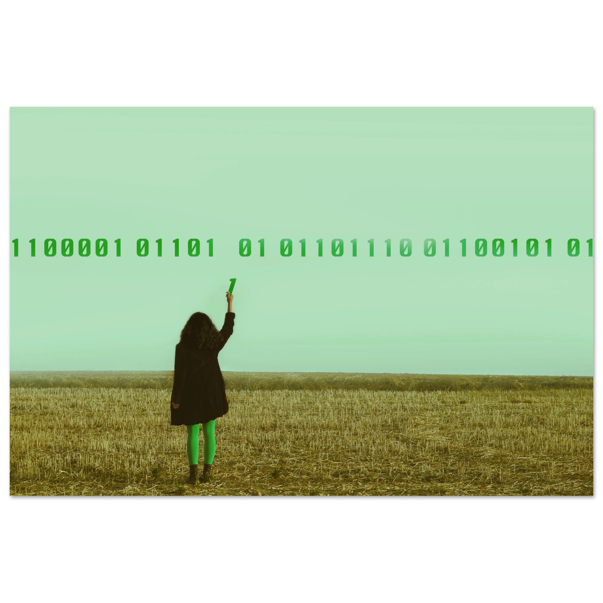 4d284a7b-d64f-4d74-a3bc-5bb4d07b4442